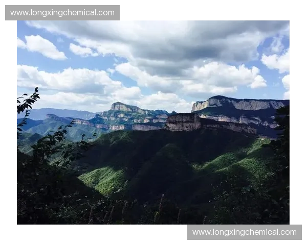 大话体育纵论赛场风云尽显激情豪迈共话运动人生魅力